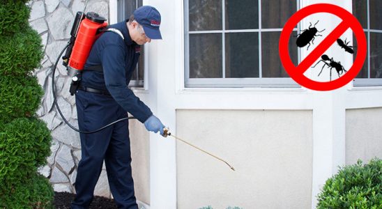 Derince Dezenfeksiyon böcek ilaçlama ve haşere kontrolü — ilaclama-tr.com